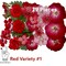 29 Piece Red Variety Dried Pressed Real Natural Flowers For Epoxy & UV Resin Art